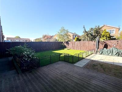 Picture 21